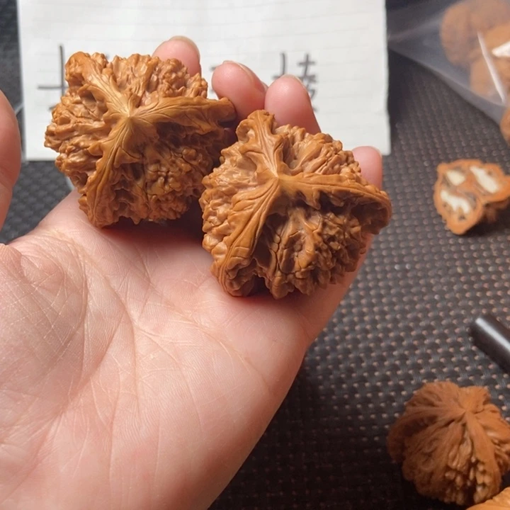 大叶紫檀（黑酸枝木类）