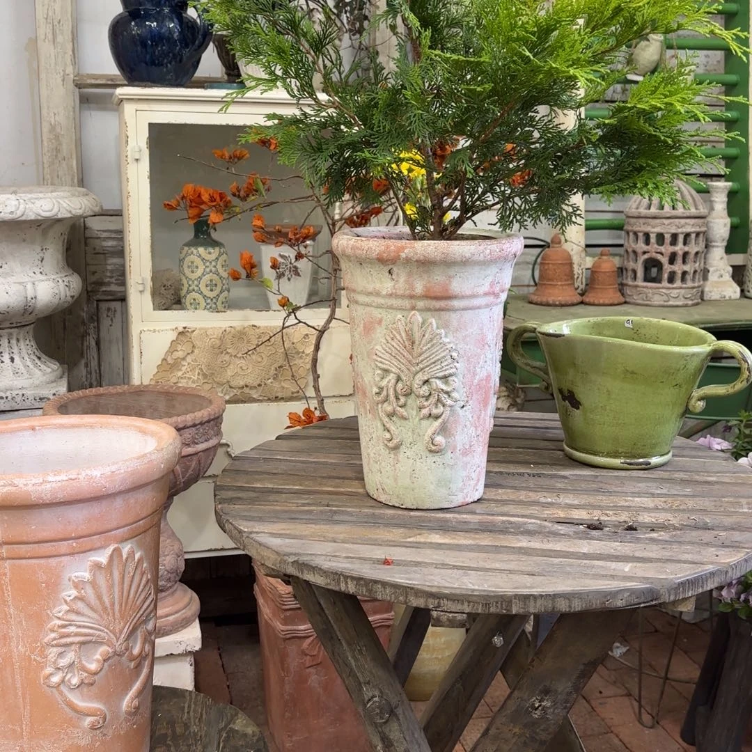 许纯的花房 印第安小号