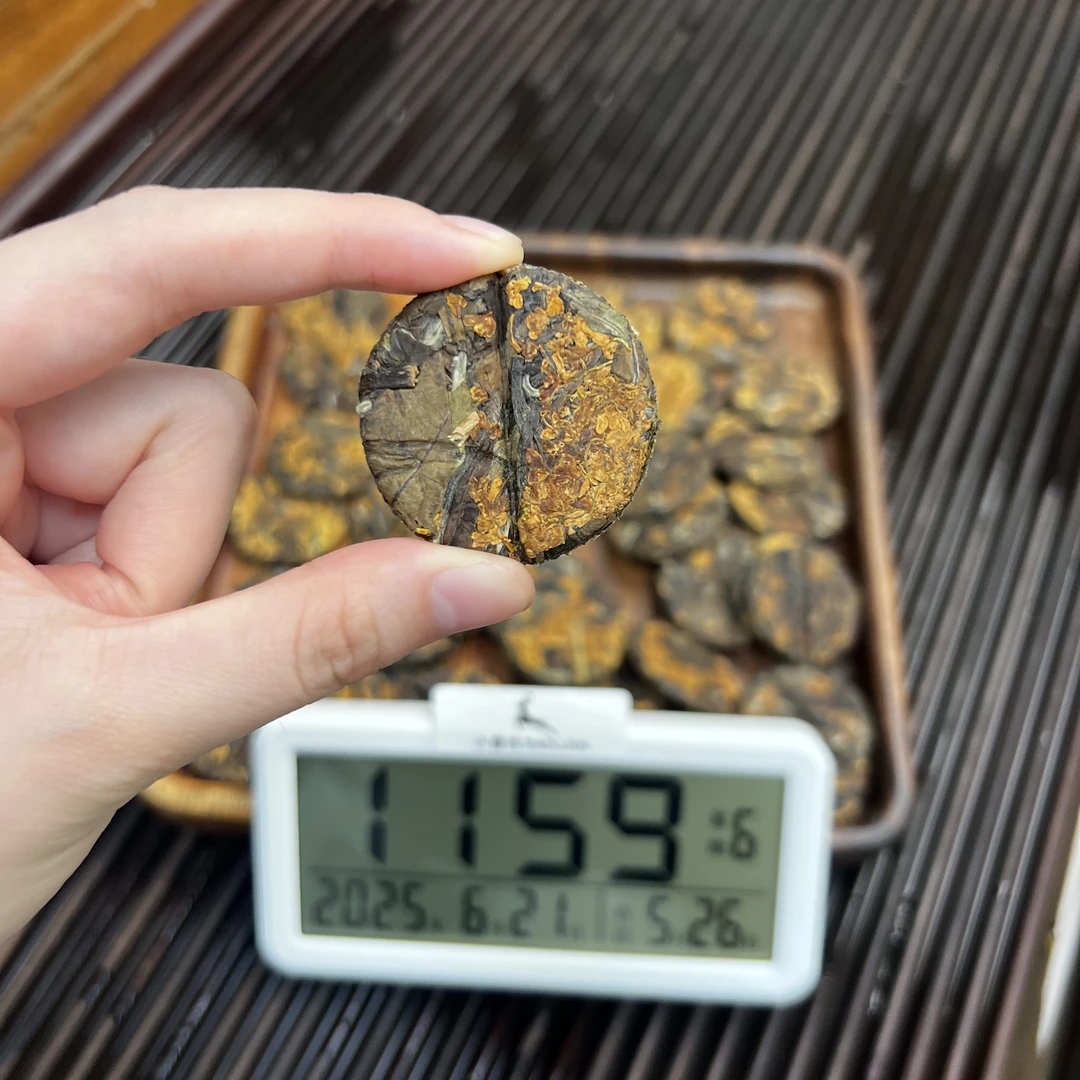 桂花白茶 小圆饼  福鼎白茶   6月21