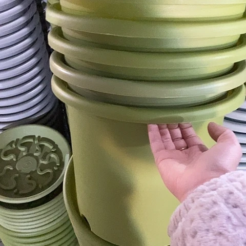 树脂特价6号7个无托果绿