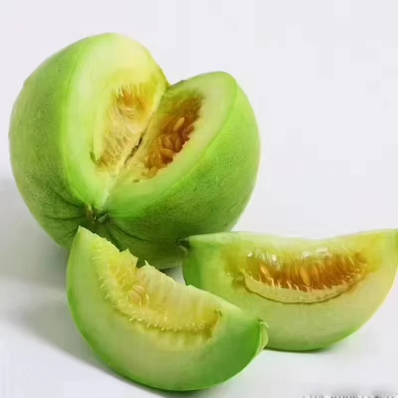 湖北松滋本地梨瓜脆甜水分足现摘现发