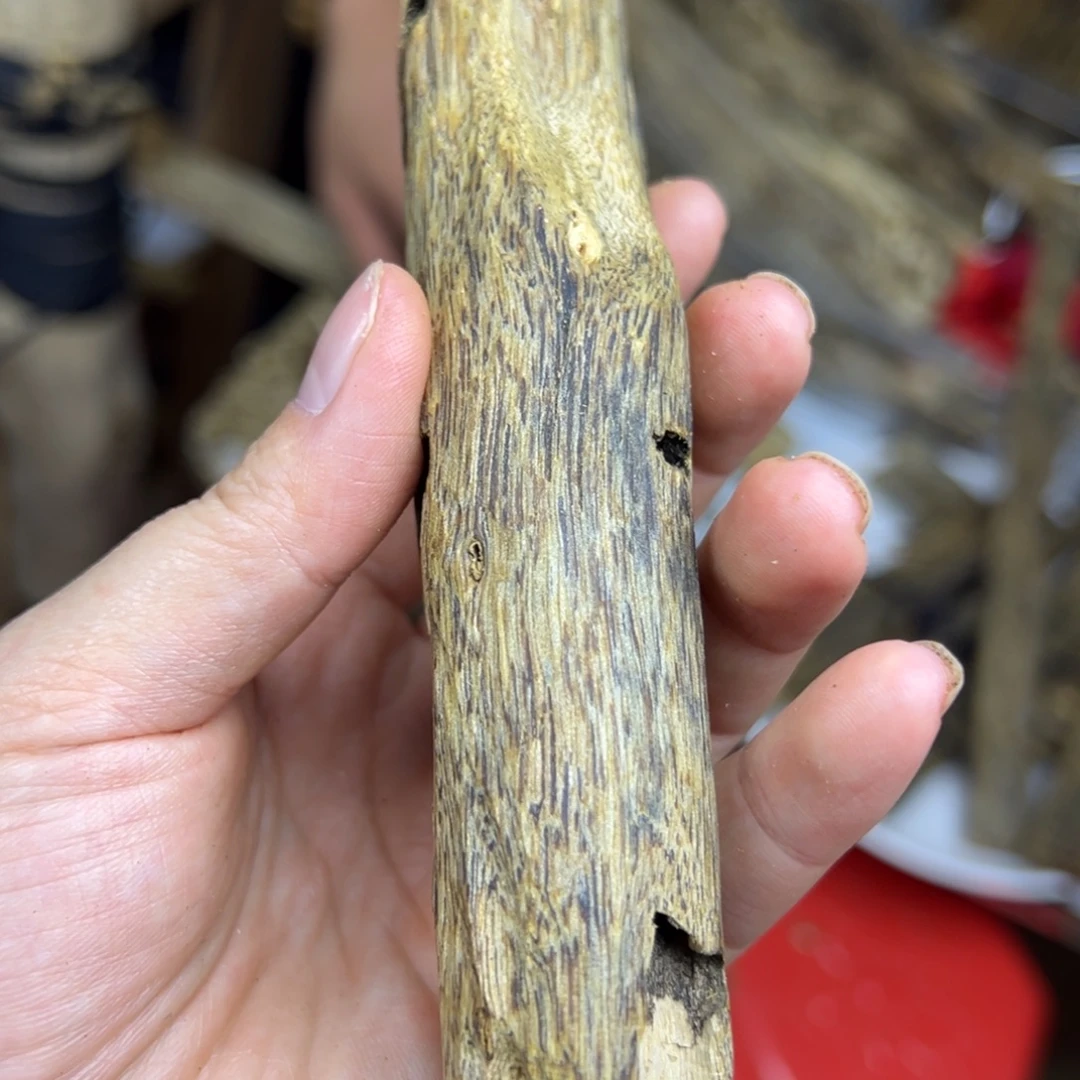 线香奇楠虫漏香37克
