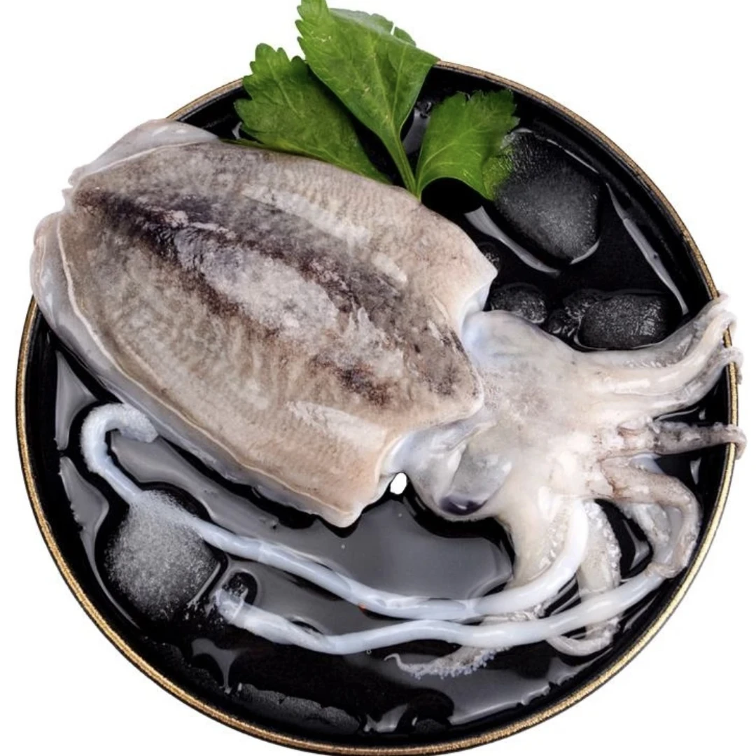 【墨鱼】6-8两/头 4头 舟山东海大墨鱼 小船货新鲜急冻