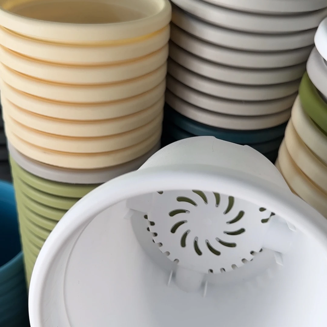 树脂四季2号无托10个白色