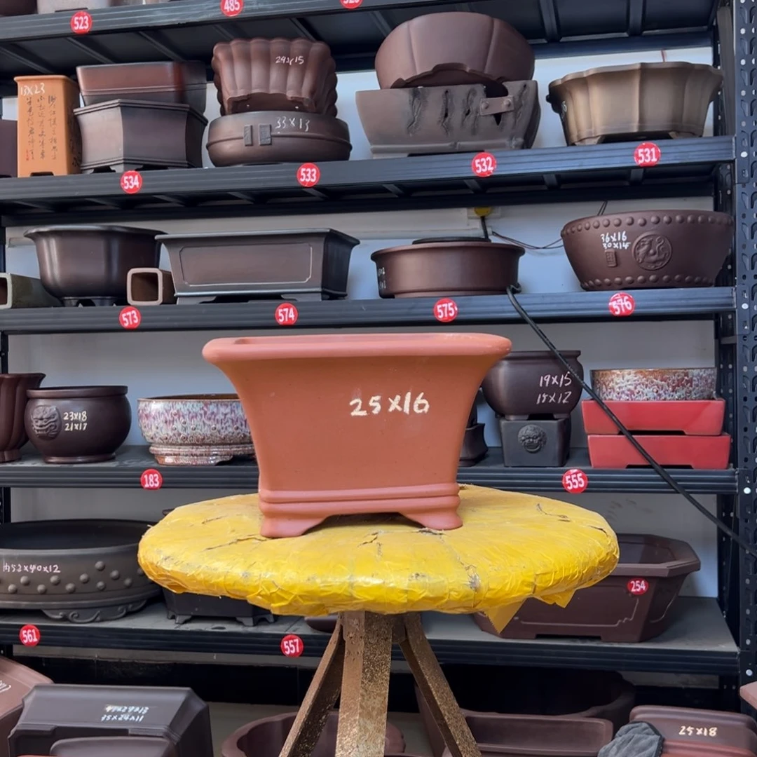 紫砂花盆呜呜呜呜呜