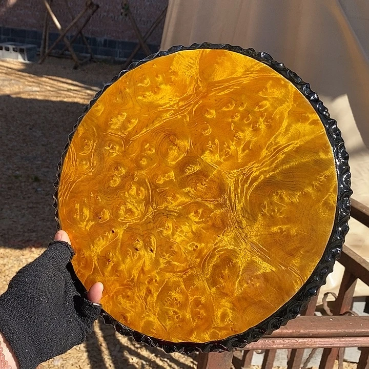 黄金樟特价不退换29
