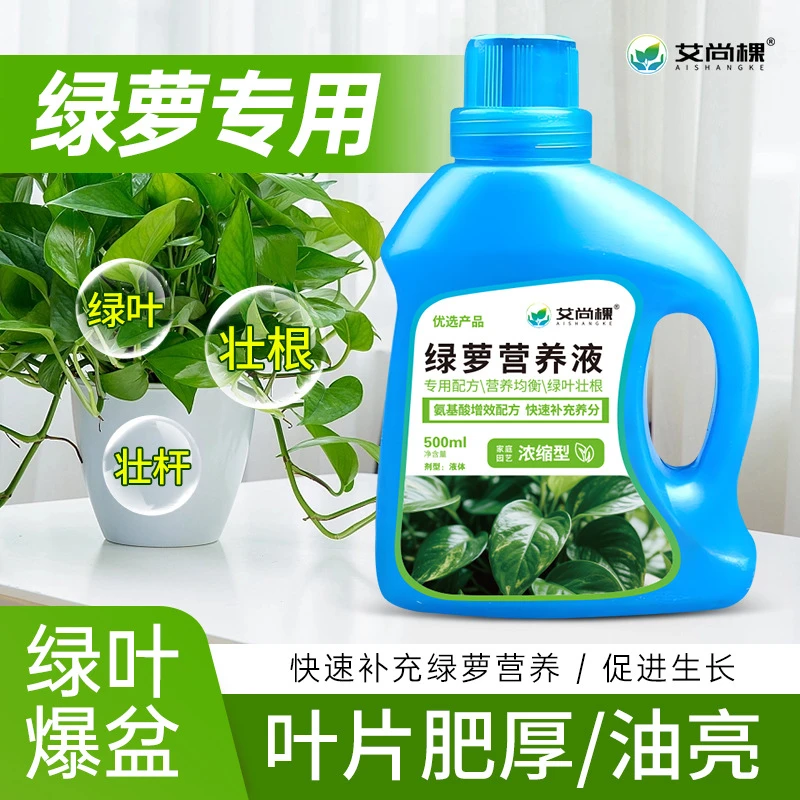 【拍2发3】绿萝营养液绿萝水培大瓶浓缩型水培植物专用花卉肥500ml