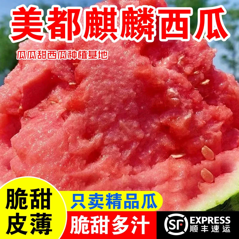 【精选大瓜】现摘头茬正宗麒麟西瓜当季应季薄皮无籽水果麒麟西瓜