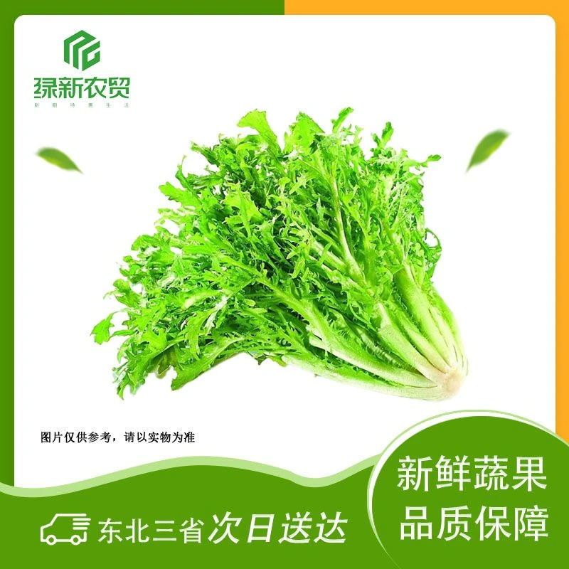 苦苣 约200g±30g/份苦苣