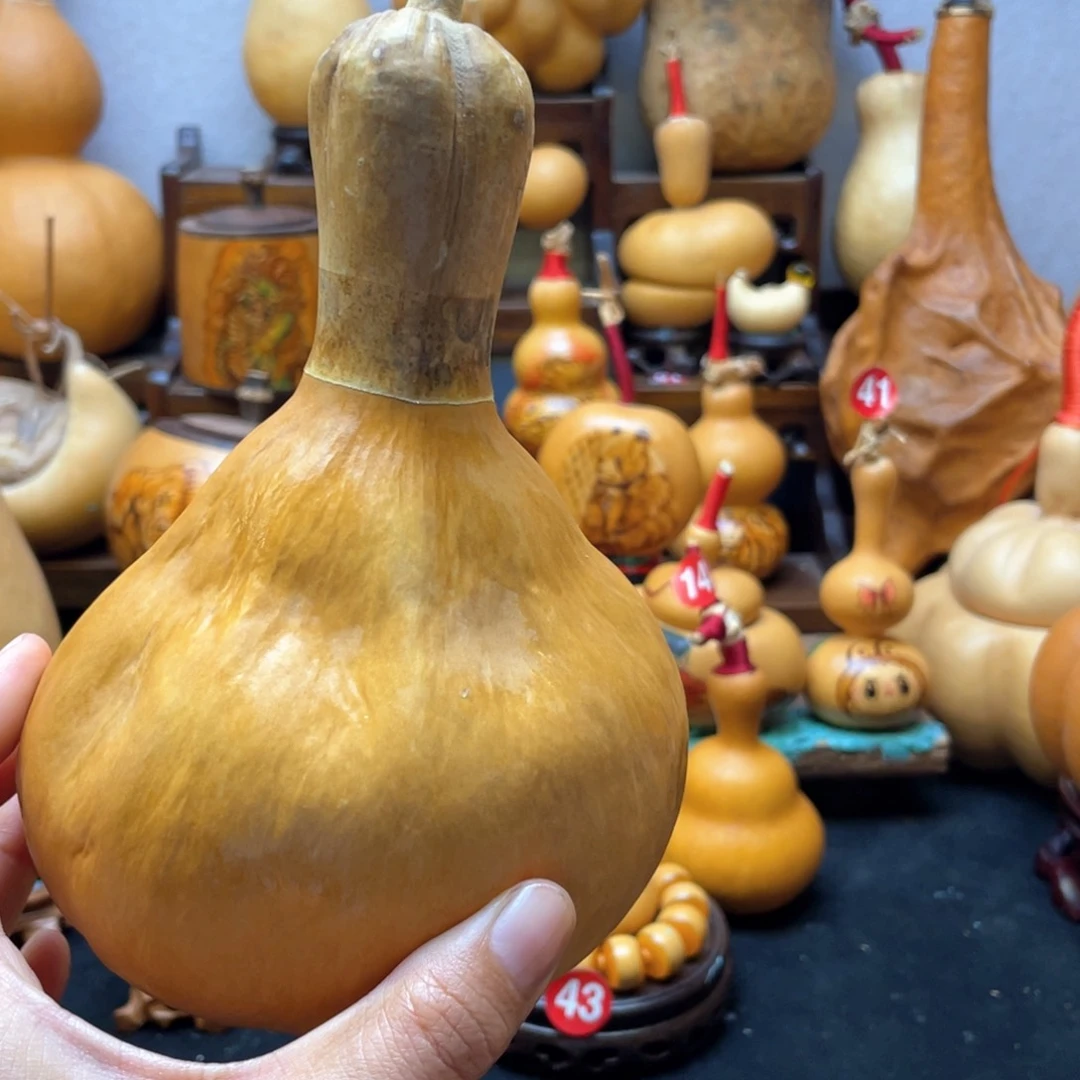 一**善大自然的秘密第十节