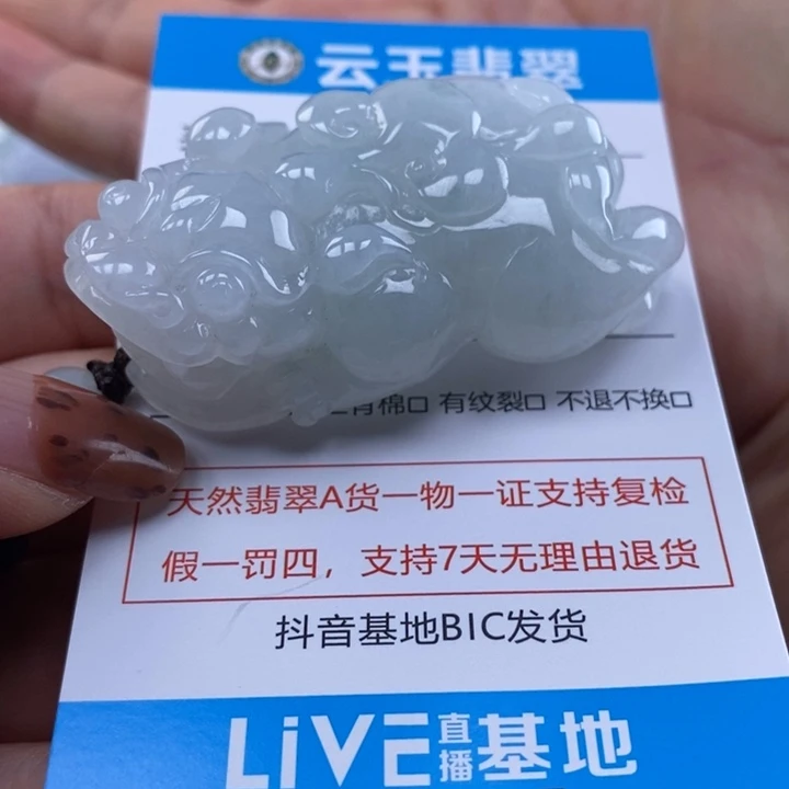 翡翠未镶嵌颈饰多人貔貅
