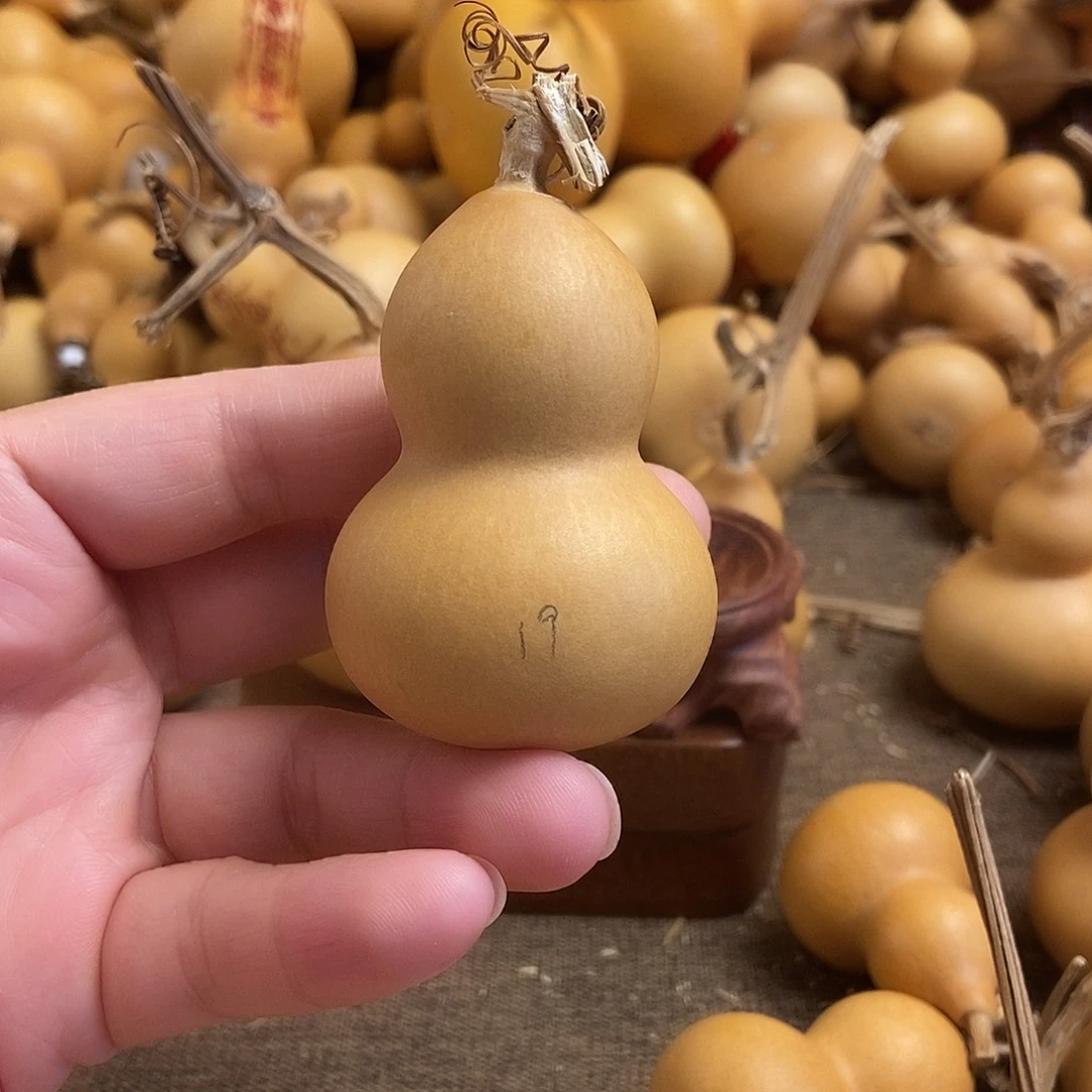 文玩葫芦 完美主义者 慎拍19