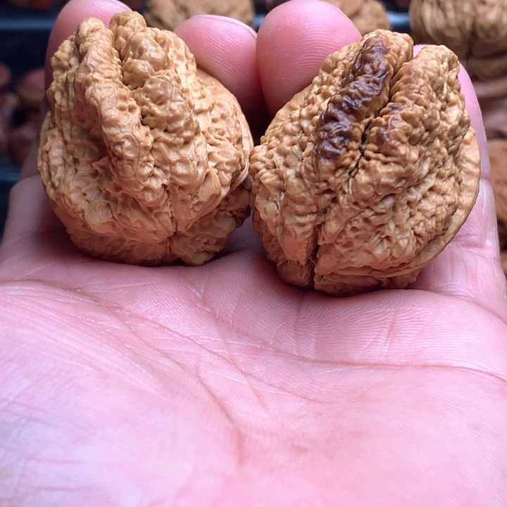 桃核把件7临沧古蟾王