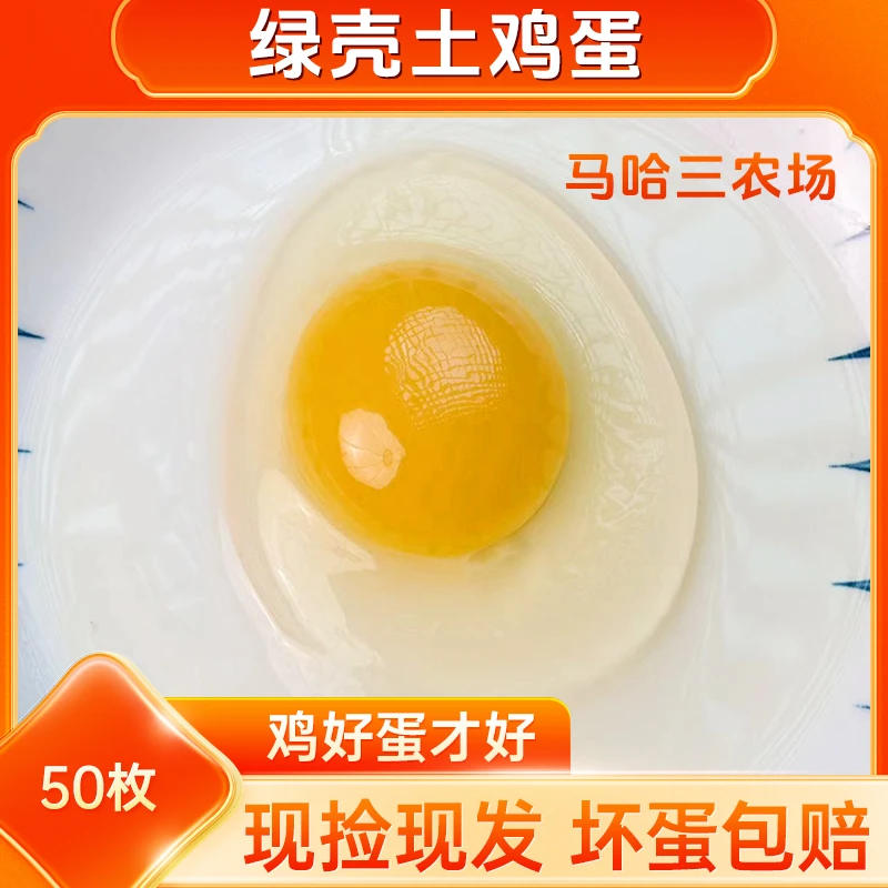 甘肃广河马哈三农场林间散养绿壳土鸡蛋现捡快递包邮50枚破损包赔