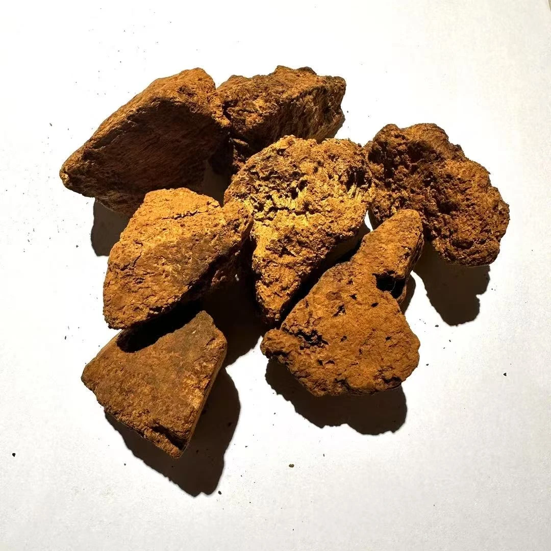 桦树茸甄选煮水泡水