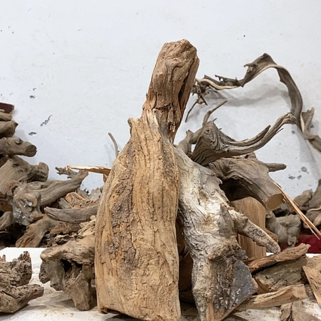 【闪购商品】柏木忆*我们都是好孩子