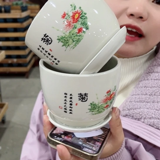 红陶花盆里还有几棵树上