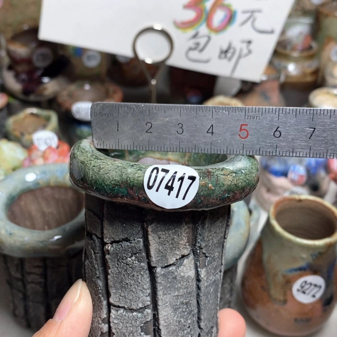 花盆拍3送一个小礼物