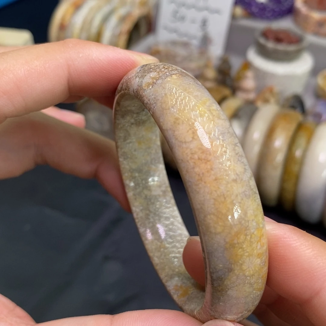 硅化玉未镶嵌手镯