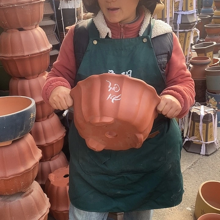 紫砂花盆紫砂花盆盆栽花卉苗木