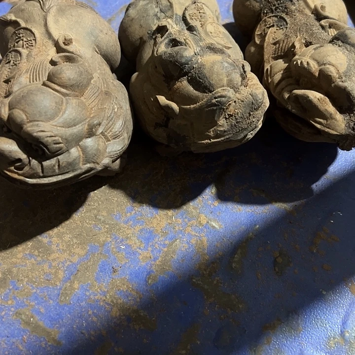 香榧木88888888888888