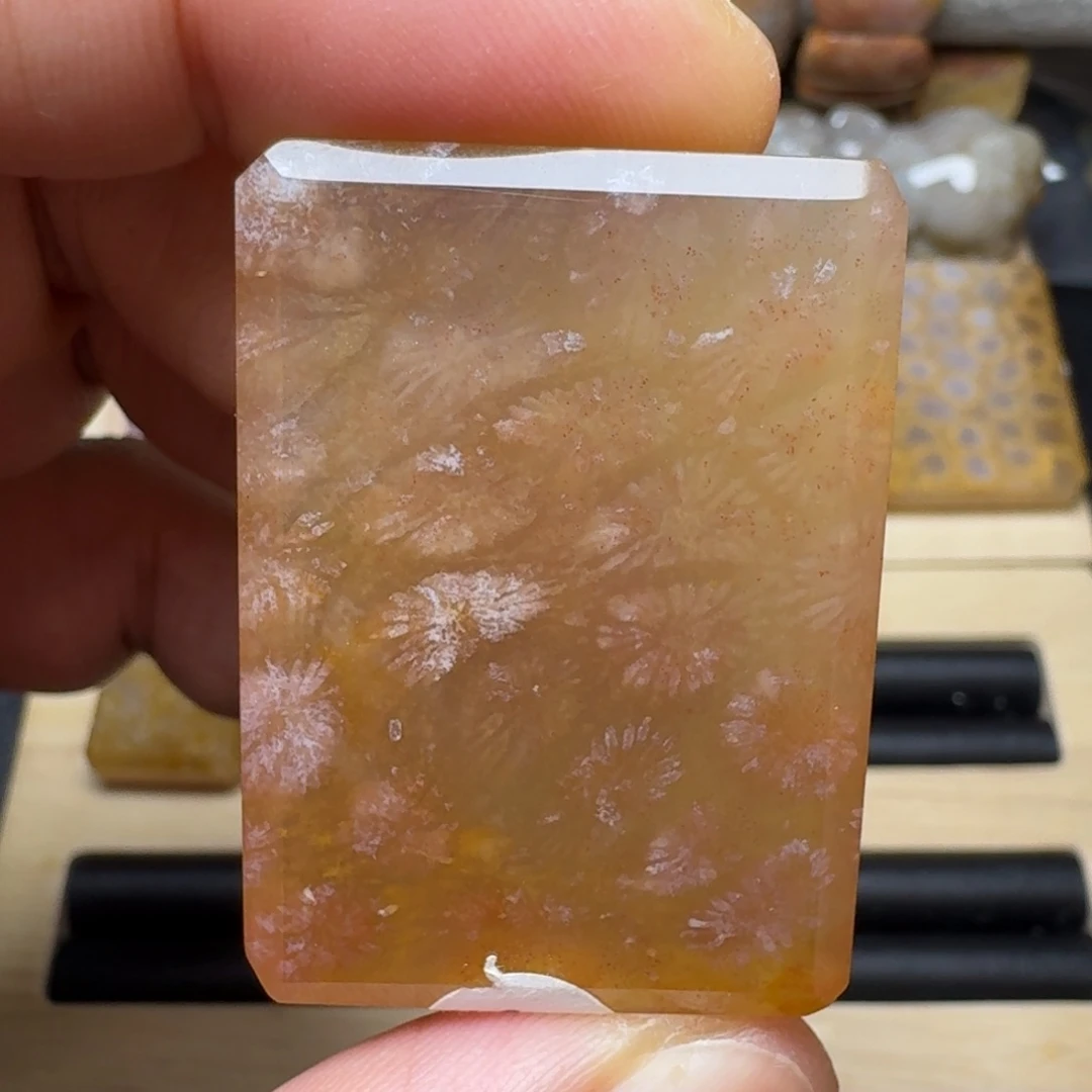 硅化玉未镶嵌纯天然色有机玉石保真色