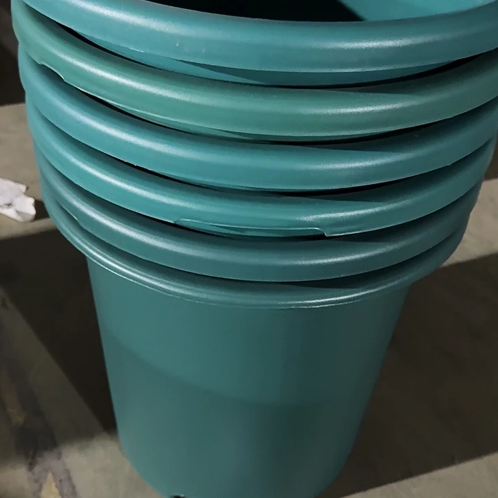 编号编号编号2562