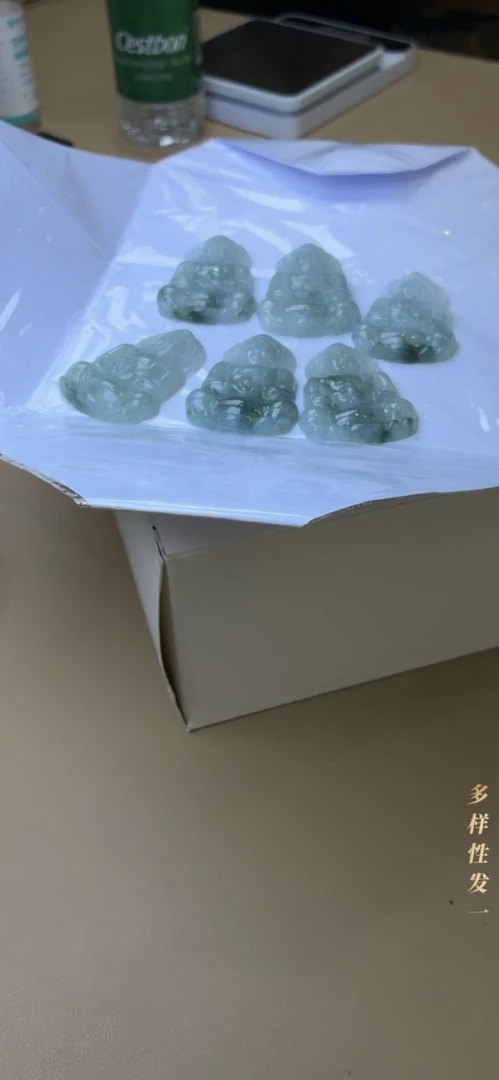 [11.25-一哥精选]翡翠观音 多样性发一 7