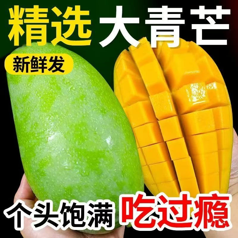 【生熟两吃】正宗大青芒生熟两吃水果金煌芒云南青皮甜心芒整箱包邮