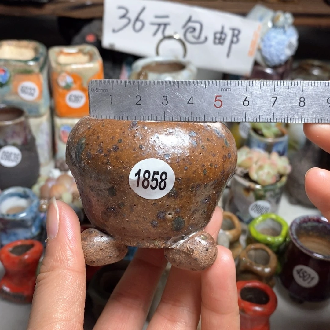 花盆拍3送个9·9的盆，拍5送同款