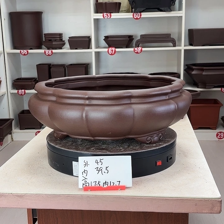花盆紫砂菱形南瓜大