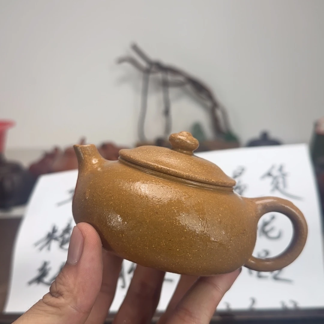 紫砂其他黄降坡寒江