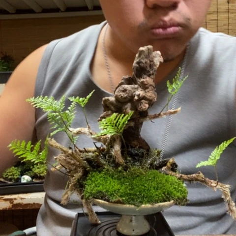 红陶一物一拍所见即所得180