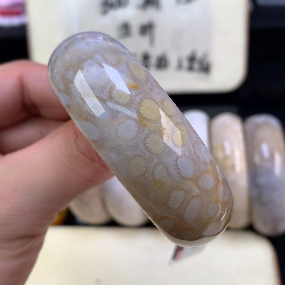 硅化珊瑚（珊瑚玉）未镶嵌颈饰40号背面蓝心豹纹52.5圈