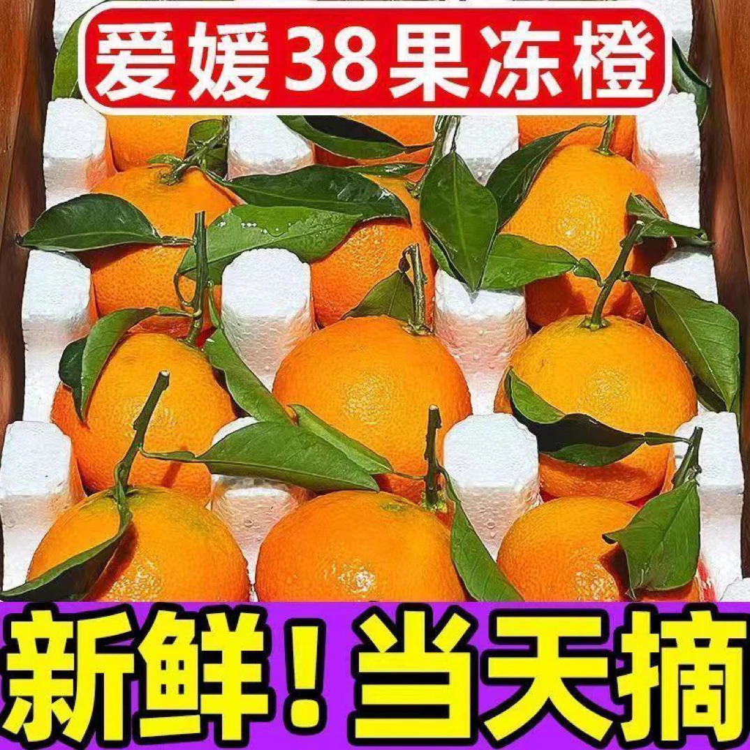 四川眉山正宗爱媛果38号果冻橙带叶带泡沫托发货新鲜应季水果Z1