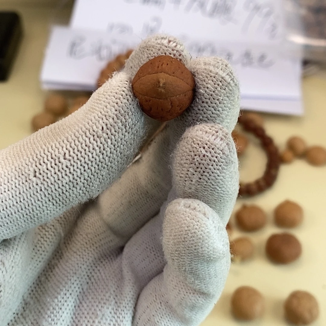 吊坠凤眼菩提凤眼异型