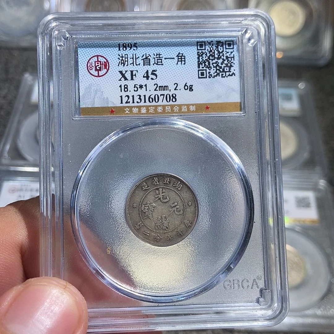 银大头湖北一角龙0708