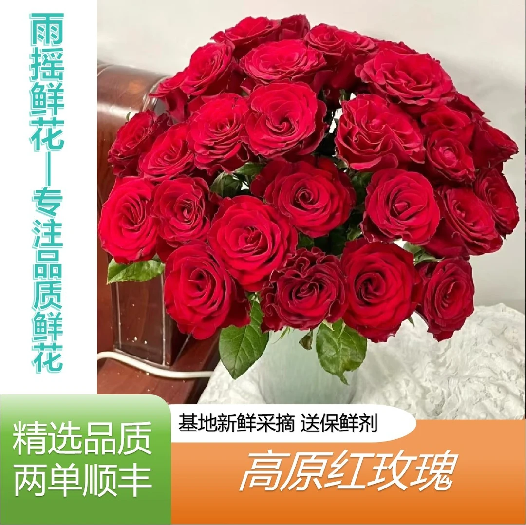 【高原红玫瑰】云南鲜花基地直发 全场鲜花任意两单顺丰包邮