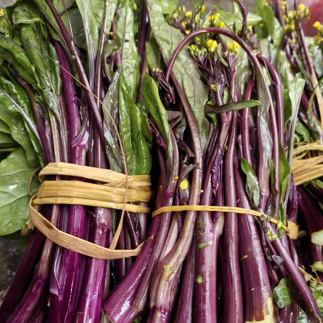 红菜心。露天种植现采现发【顺丰包邮】