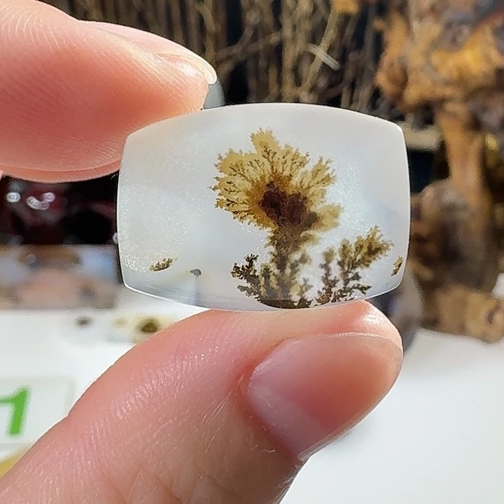 玛瑙/玉髓未镶嵌珠宝奇石