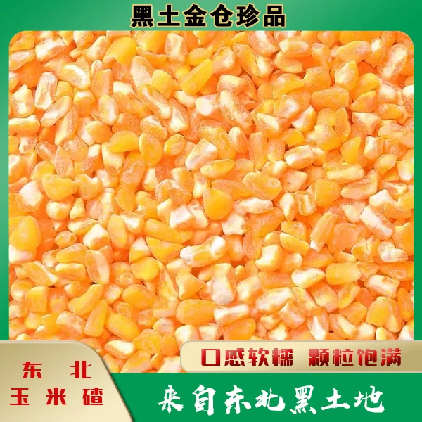 农家东北玉米碴子黄苞米碴子1000g起包邮
