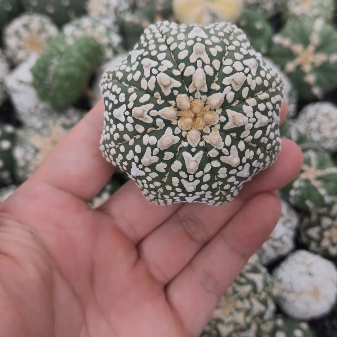 哈哈哈哈哈哈哈哈