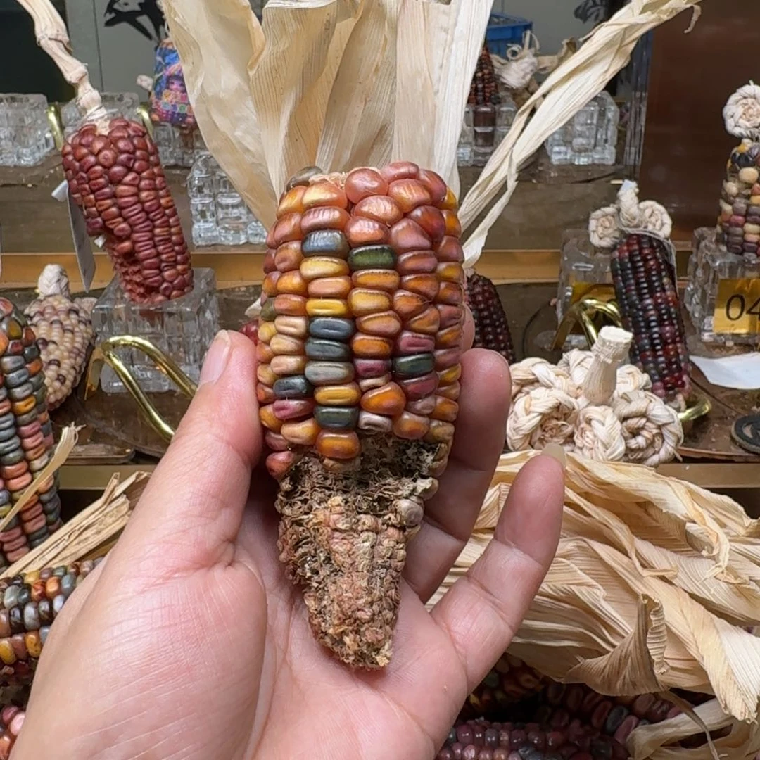 柏香籽/百香籽吊坠1****6