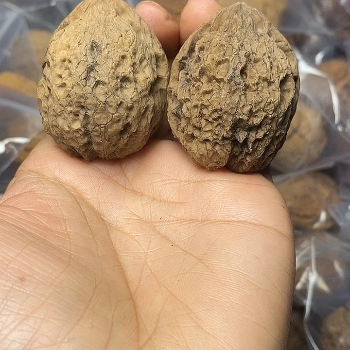 把件文玩核桃云南铁核桃35