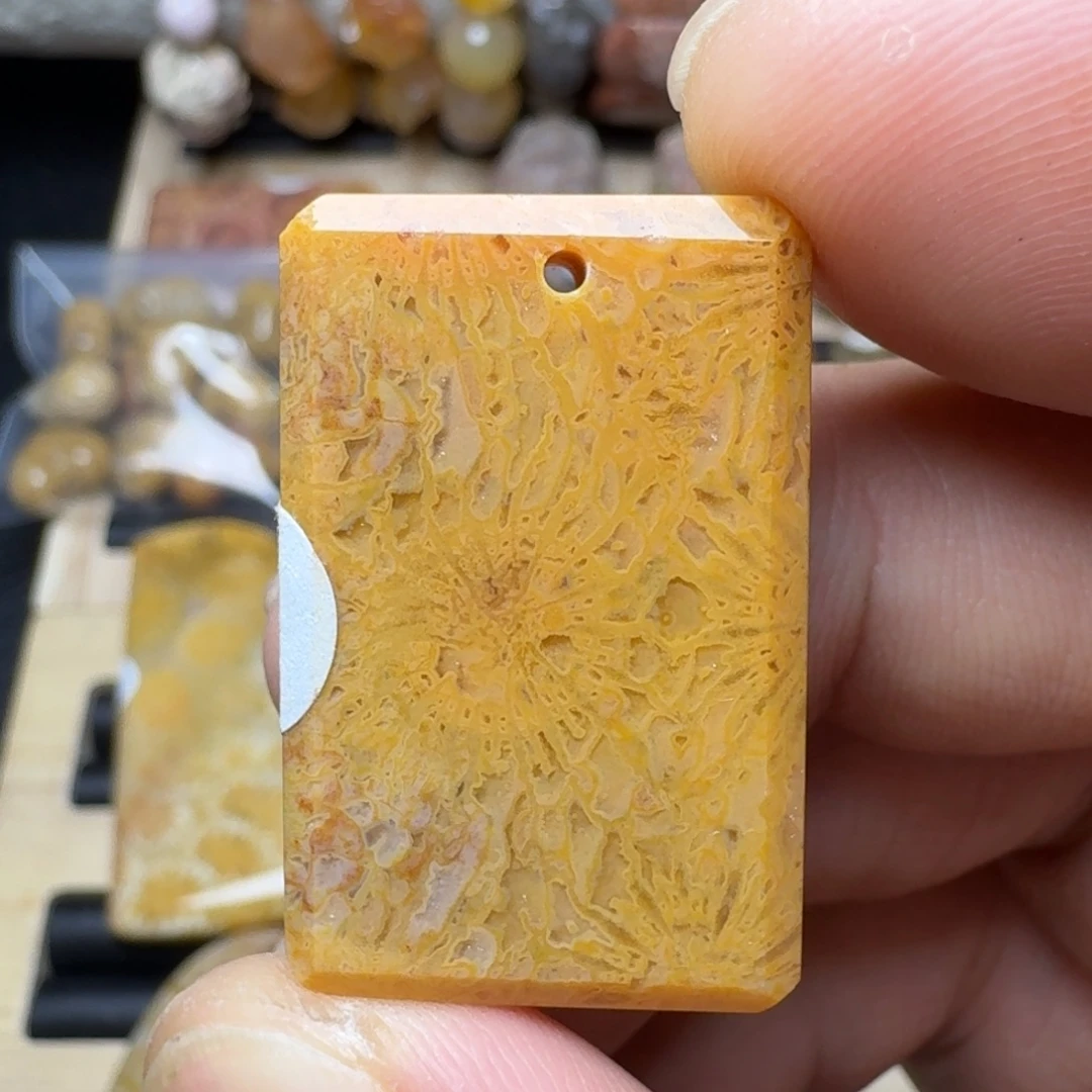 硅化珊瑚（珊瑚玉）未镶嵌纯天然色有机玉石保真色