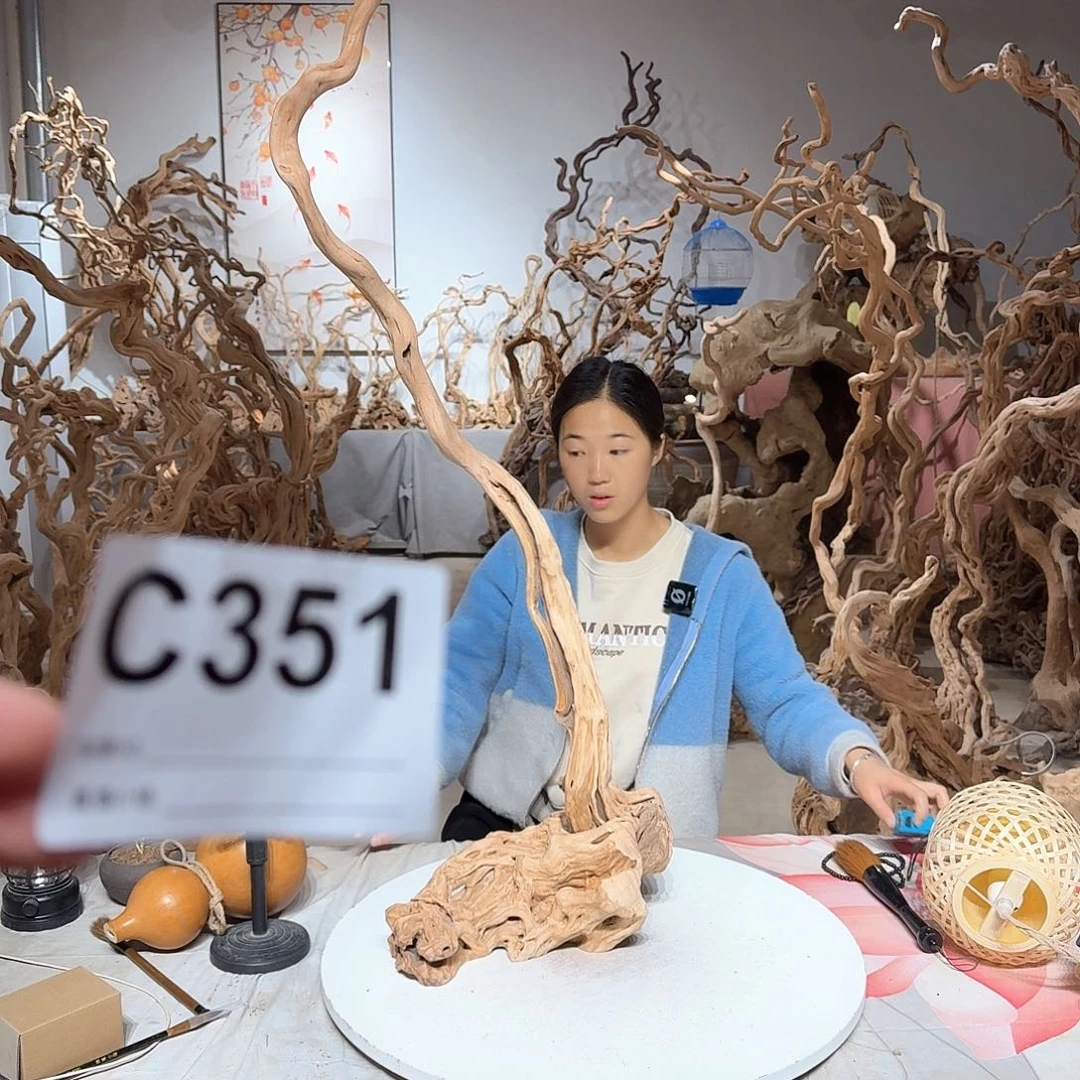 风车木（黑檀木）黄****化