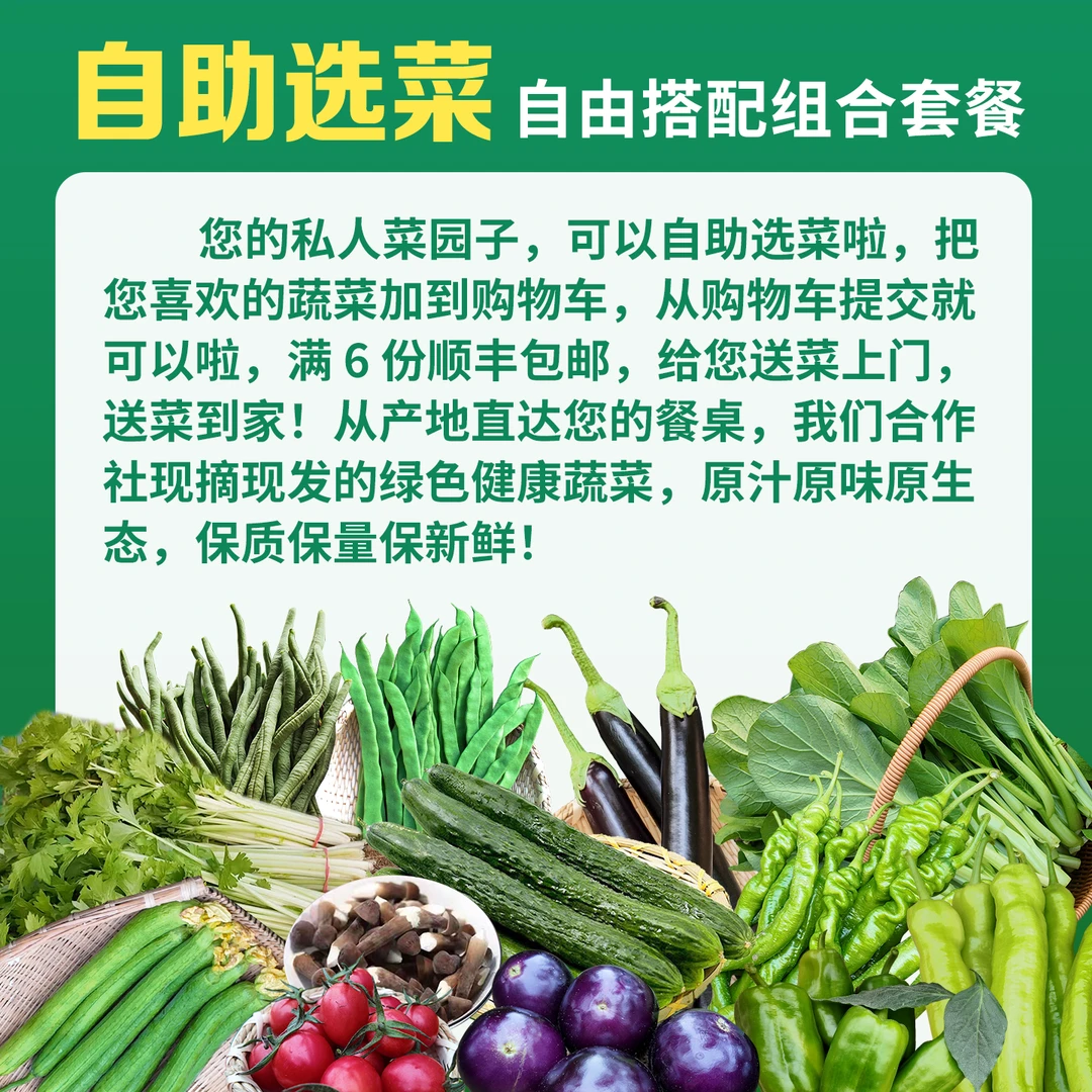 山东莘县新鲜时令蔬菜自助选菜自由搭配组合现摘现发顺丰包邮