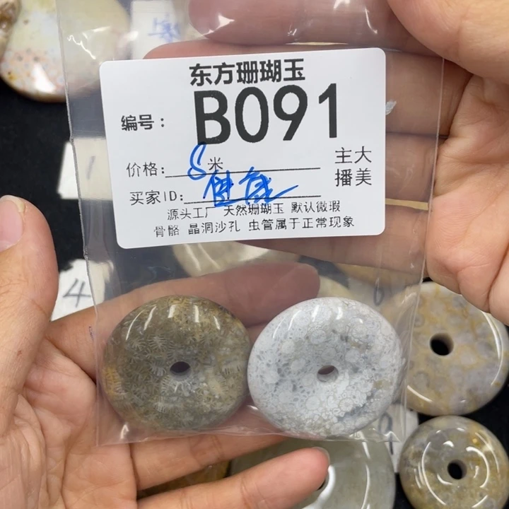 硅化珊瑚（珊瑚玉）颈饰合金健**宁