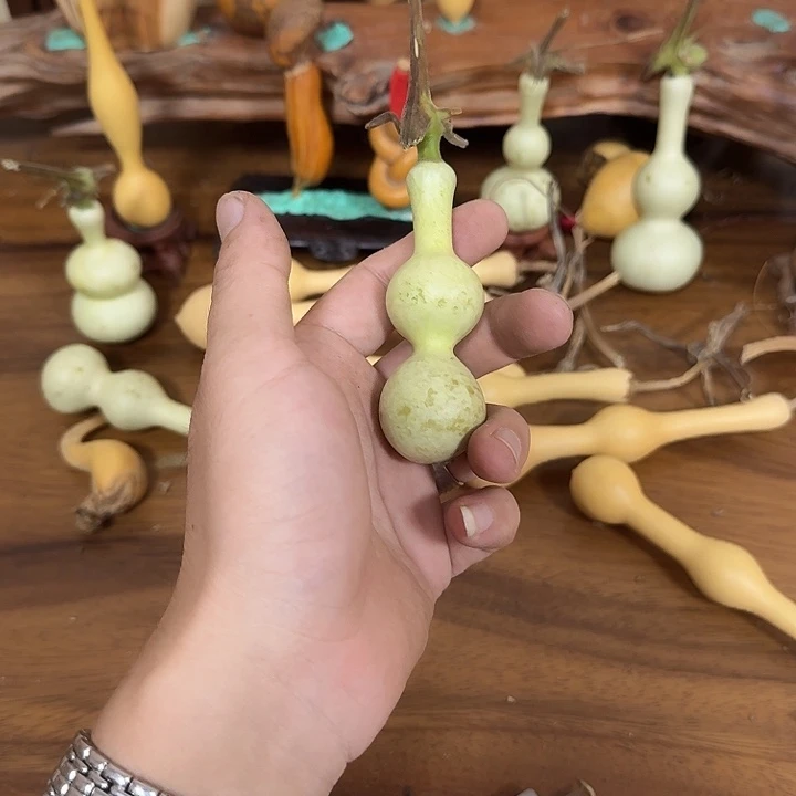 @***梦kgxohcihcihcohcohcohco