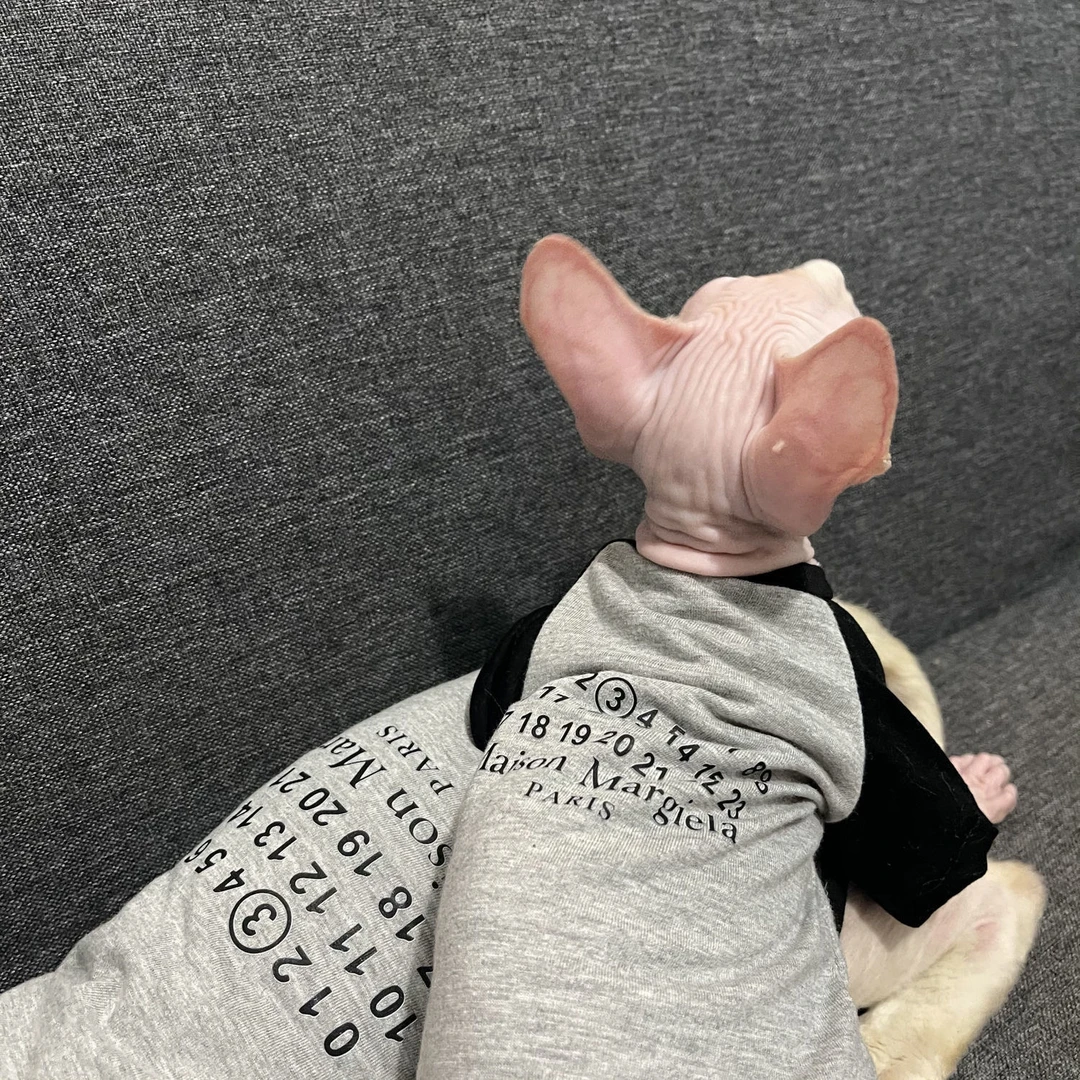 无毛猫衣服潮牌棉夏季薄吊带弹力透气帅气斯芬克斯德文猫衣服潮